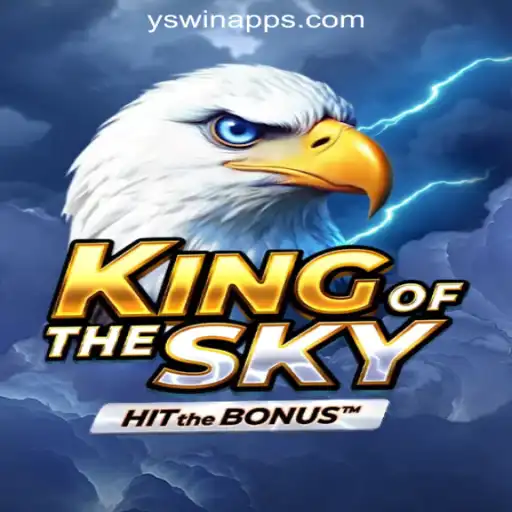 Exploring the Exciting World of KingOfTheSky: A New Era in Online Gaming